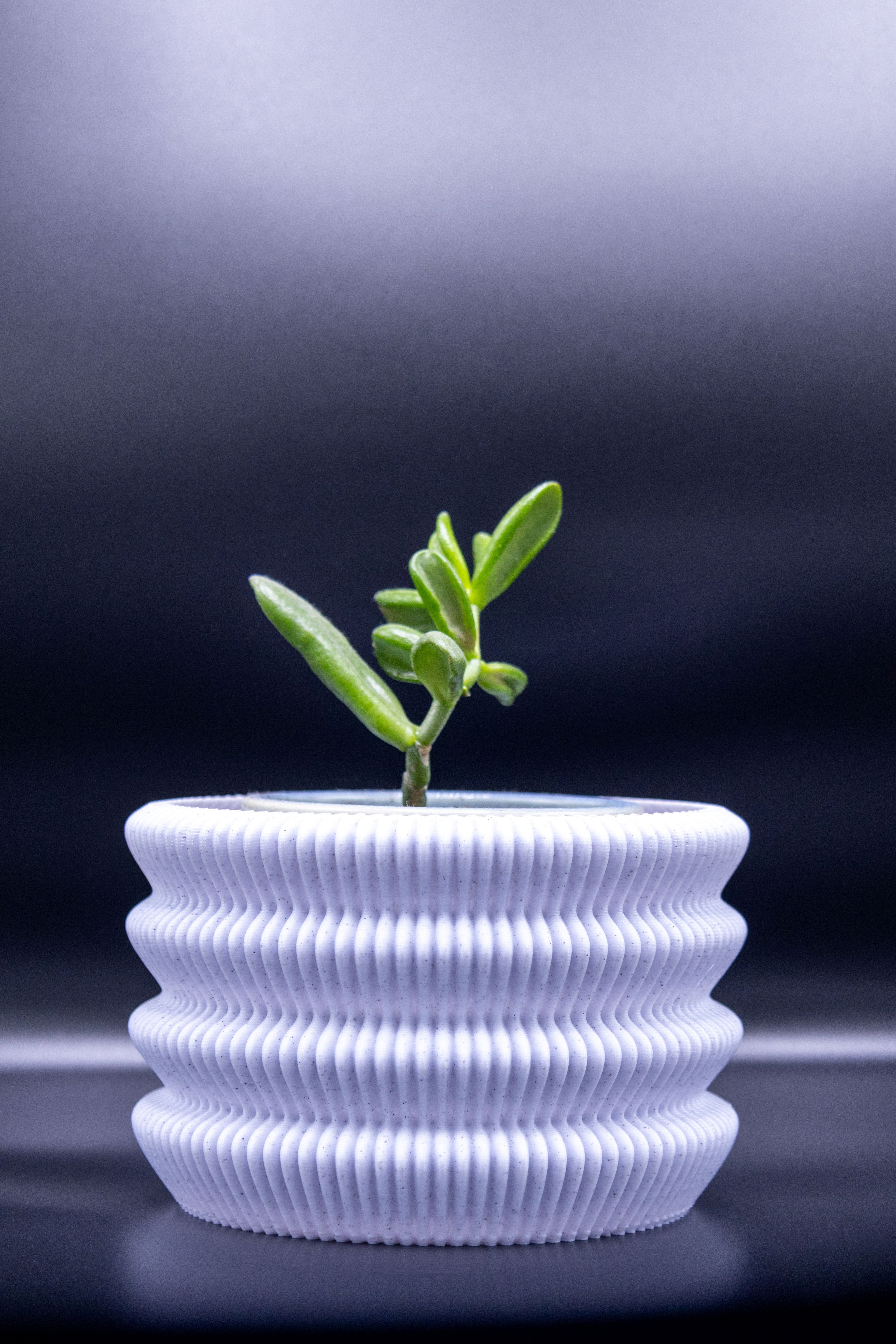 Capri Pot